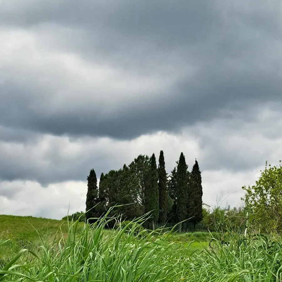 בית הארחה Castiglione dʼOrcia Affittacamere Alba Fiorita