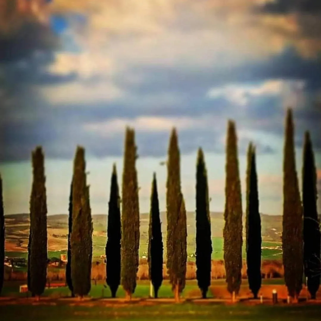 Affittacamere Alba Fiorita Castiglione dʼOrcia